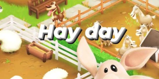 Imagem do grupo de WhatsApp HAY DAY