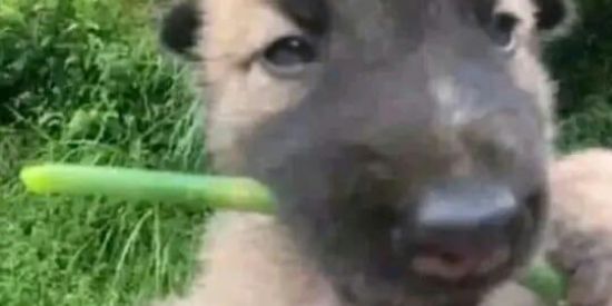 Imagem do grupo de WhatsApp ༄GP᭄Amizade