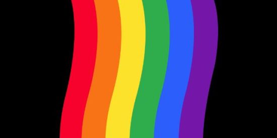 Imagem do grupo de WhatsApp LGBT 🏳️‍🌈🏳‍⚧