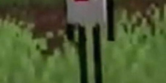 Imagem do grupo de WhatsApp Grupinho de mine