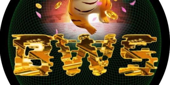 Imagem do grupo de WhatsApp B W S WIN WIN ☆