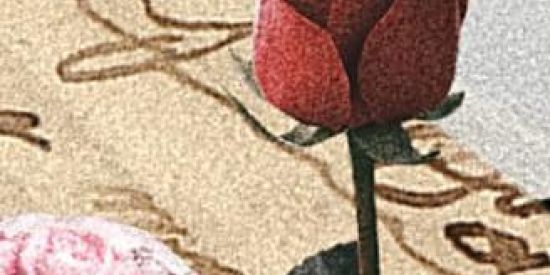 Imagem do grupo de WhatsApp Pinguim