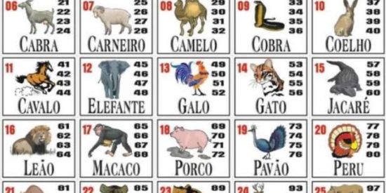 Imagem do grupo de WhatsApp Nacional 🦚🐻