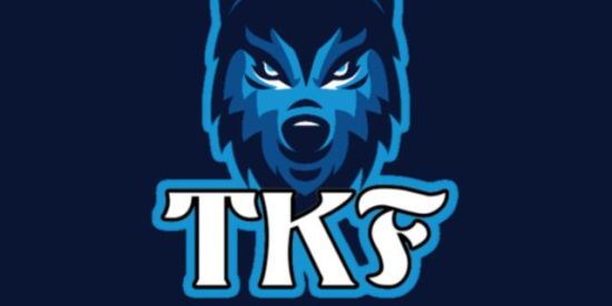 Imagem do grupo de WhatsApp TKF DOLAR🥶