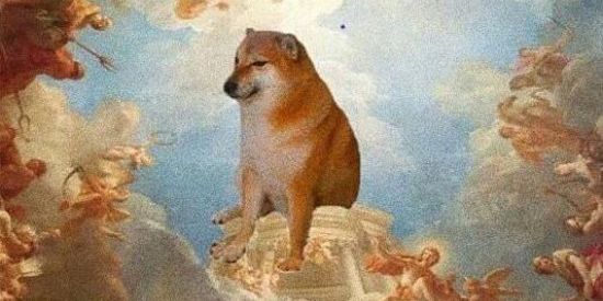 Imagem do grupo de WhatsApp To paradise 🍷🍷