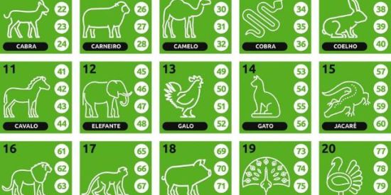 Imagem do grupo de WhatsApp 🍀Bicho da sorte 🍀