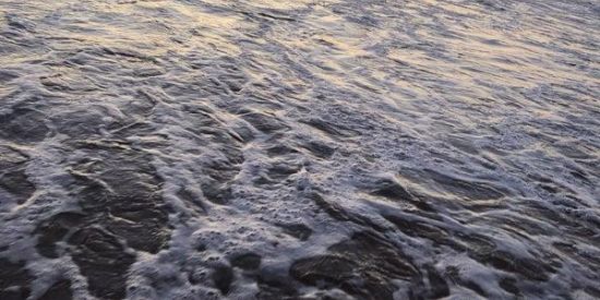 Imagem do grupo de WhatsApp FamiliaPt🇵🇹🫶🏻