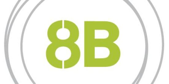 Imagem do grupo de WhatsApp 8B - 2023🧮📘