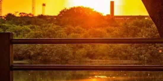 Imagem do grupo de WhatsApp Campo Grande MS