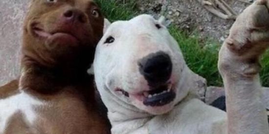 Imagem do grupo de WhatsApp AMIZADES