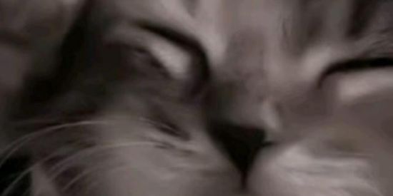 Imagem do grupo de WhatsApp AMIZADE OU NAMORO😉