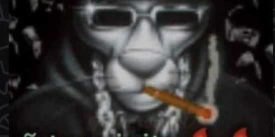 Imagem do grupo de WhatsApp BUTECO DO LUKE