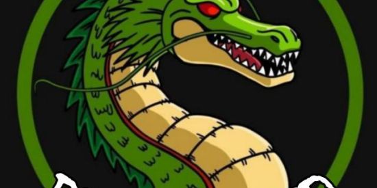 Imagem do grupo de WhatsApp Dragões HD 🐲