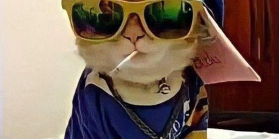 Imagem do grupo de WhatsApp 𝐒𝐢𝐠𝐚-𝐦𝐞 𝐨𝐬 𝐛𝐨𝐧𝐬