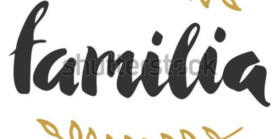 Imagem do grupo de WhatsApp 𝘸𝘦𝘣 𝘧𝘢𝘮í𝘭𝘪𝘢