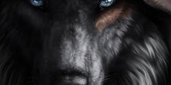 Imagem do grupo de WhatsApp Lobo solitário