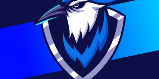 Imagem do grupo de WhatsApp revela⁴⁷