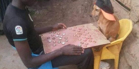 Imagem do grupo de WhatsApp 👾 Plostv 👾