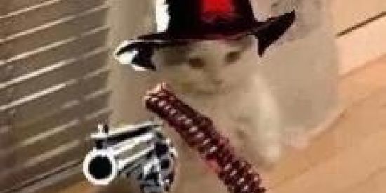 Imagem do grupo de WhatsApp Só Conversa e Amizade