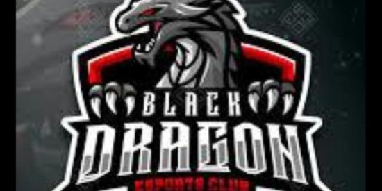 Imagem do grupo de WhatsApp BLACK DRAGON REC
