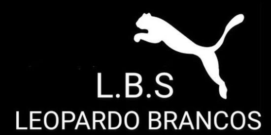 Imagem do grupo de WhatsApp Gangue L.B.S 🇧🇷