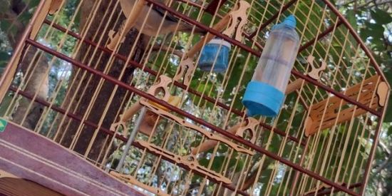 Imagem do grupo de WhatsApp 🇧🇷 Criadores Brasil 🇧🇷