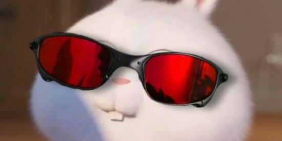 Imagem do grupo de WhatsApp Amizade é zueira