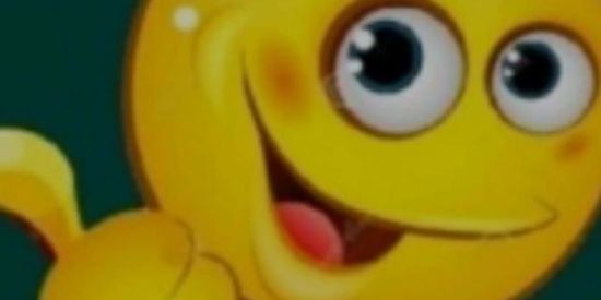 Imagem do grupo de WhatsApp sitio da afonsinha