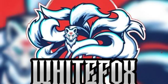 Imagem do grupo de WhatsApp ꧁🦊PROJETO WHITEFOX 🦊꧂*