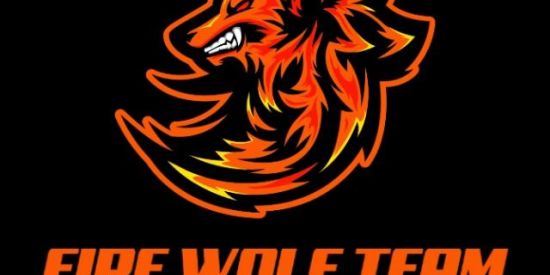 Imagem do grupo de WhatsApp Fire wolf team