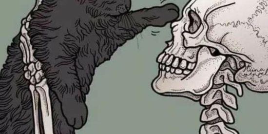 Imagem do grupo de WhatsApp Esquizo? Frenia 😁