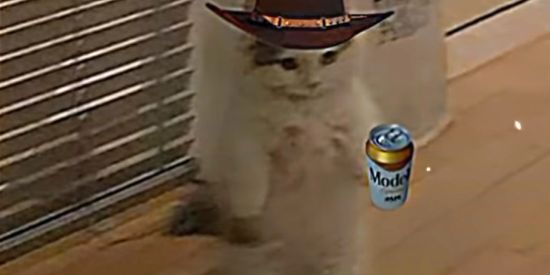 Imagem do grupo de WhatsApp 𝖀𝖒𝖇𝖗𝖆𝖑-☾