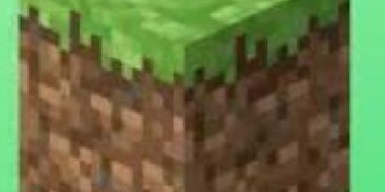 Imagem do grupo de WhatsApp Grupo de minecraft java/bedrock