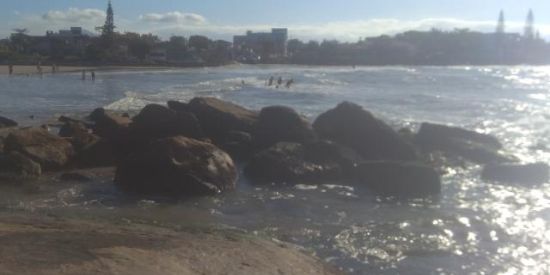 Imagem do grupo de WhatsApp Amzds de sc🤫