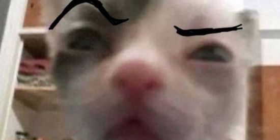 Imagem do grupo de WhatsApp ✯仓Ȼαƒσƒσ 𝚅ɪρ仓✯