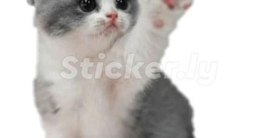 Imagem do grupo de WhatsApp Namorar cuia bwe🍺❣️