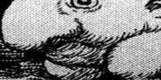 Imagem do grupo de WhatsApp w i r e d