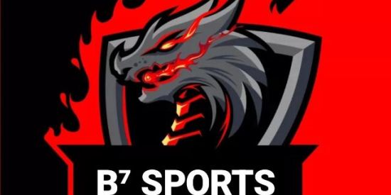 Imagem do grupo de WhatsApp B⁷ SPORTS