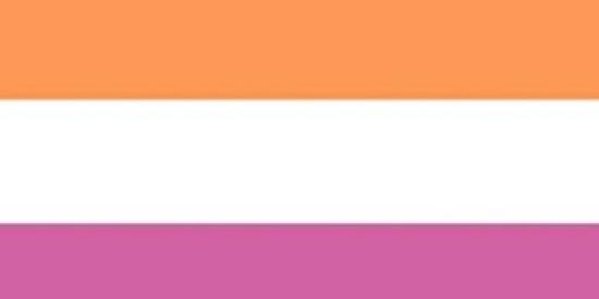 Imagem do grupo de WhatsApp Sapadivis