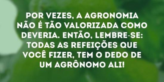 Imagem do grupo de WhatsApp Curiosidades do mundo agro ❤️🐴🌱🐮