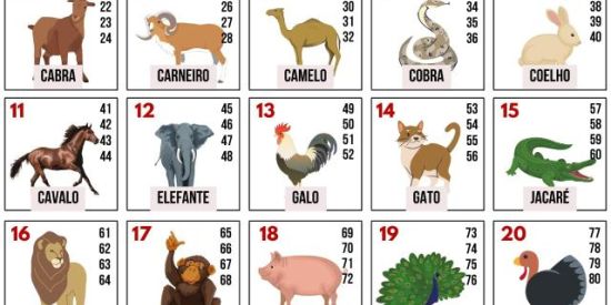 Imagem do grupo de WhatsApp 🦁SÓ PALPITES JB🦁