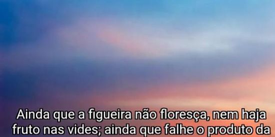 Imagem do grupo de WhatsApp •AmIzAdE Ou nAmOrO•