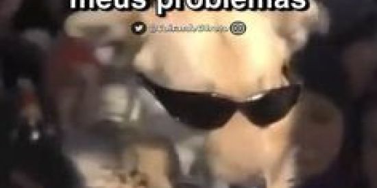 Imagem do grupo de WhatsApp Cúmulo ATy 1.0