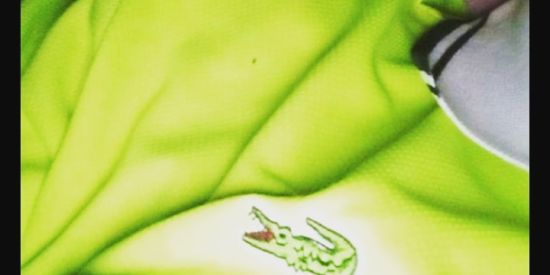 Imagem do grupo de WhatsApp kiwify empreendedorismo