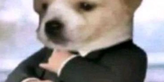 Imagem do grupo de WhatsApp CLUBE  DAS WINX