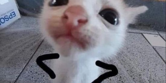 Imagem do grupo de WhatsApp Semft/nome até decidir