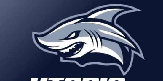 Imagem do grupo de WhatsApp 🦈RECRUTAMENTO UTS 🦈