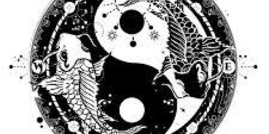 Imagem do grupo de WhatsApp COMÉDIA NÃO ENTRA 🤬🤙🏽