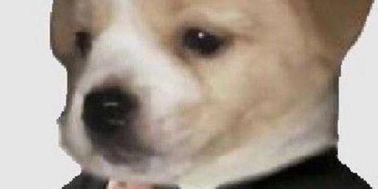 Imagem do grupo de WhatsApp Grupo de Pesquisas