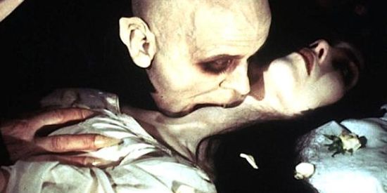 Imagem do grupo de WhatsApp Cerberus